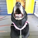 Ellis - @ellisbecker55331 - Instagram