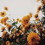 @ellis_bell._ - Instagram