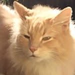 Benson Ellis - @benson.ellis - Instagram