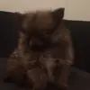 Ellisbrown - @ellisblack10 - TikTok