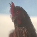 Ellis Bowen - @ellis.bowen - Instagram