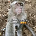 Ellis Bowman - @ellisbowman67 - Instagram