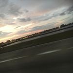 Ellis Brewer - @arc_theshark - Instagram