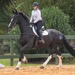 Ellis brooks - @emb_eventing5 - Instagram