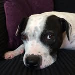 Ellis Bryan - @ellisbryan222 - Instagram
