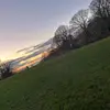 Ellis Campbell - @ellis.campbell12 - TikTok