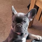 Ellis Clarke - @ellisclarke13 - Instagram