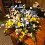 Sylvia Cobb - @elliscobb54 - Instagram