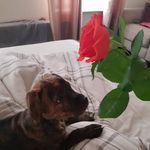 ellis cox - @bergham_jr - Instagram