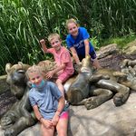 Tracy Ellis Davidson - @tracy.gilbert.902 - Instagram