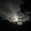 Ëłǐ_Ðíğľęþ14 - @eli.diggs14 - TikTok