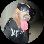 Ellis - @ellis_dmv - Instagram