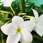 Ellis - @ellisdodson314032 - Instagram