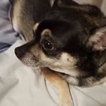 dyer - @ellisdyer935 - Instagram
