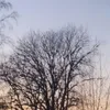 elisewert  - @elisewert - TikTok