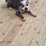 Ellis Farley - Facebook