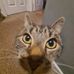 Ellis Gardner - Facebook