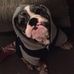 Ellis Green - Facebook