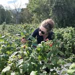 Ellis Greer - @ellisgreer - Instagram
