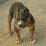 ellis kennygee greer - @kennyg42k - Instagram