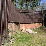 Ellis - @ellishall__ - Instagram