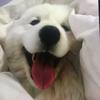 Ellis Harrell - @ellis.harrell - TikTok