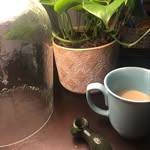 Ellis - @ellis.hendrix128 - Instagram