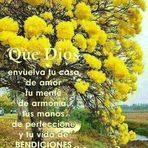 Ellis Herrera - Facebook
