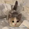 Ellis Hicks - @ellis.hicks8 - TikTok