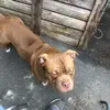 Ellis  high - @ellis12345700 - TikTok
