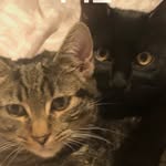 Ellis high - @high_ellis - Instagram
