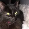 Ellis High - @ellis.high4 - TikTok