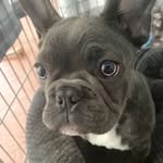 Ellis Hogg - @ellis.hogg - Instagram