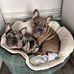 Ellis Holt - Facebook