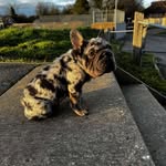 Ellis Holt - @ellisholt08 - Instagram