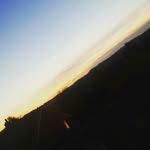 ellisholt - @ellisholt6 - Instagram