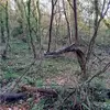 Elliseatherhood - @elliseatherhood - TikTok