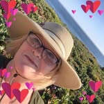 Lisa Ellis-Hooper - @lisaellishooper - Instagram