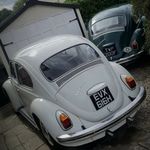 Ellis - @_ellishunter_ - Instagram