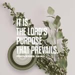 Ellis King - @verses_weekly_ - Instagram