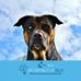 Ellis D Mullins - Facebook