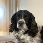 Ellis Newton - Facebook