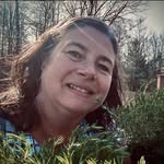 Becky Ellis Norris - @bec414 - Instagram