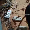 Ellis Norris - @ellis.norris - TikTok