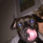 Ellis Passmore - Facebook