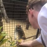 Ellis Peters - @ellispeters05 - Instagram