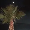 Ellis.peters2 - @ellis.peters2 - TikTok