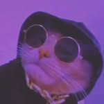 Ellis Richardson - @ellisrichardson73 - Instagram