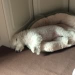 Ellis Richardson - @ellis_richardson - Instagram