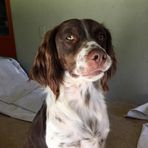 Ellis Sharp - Facebook
